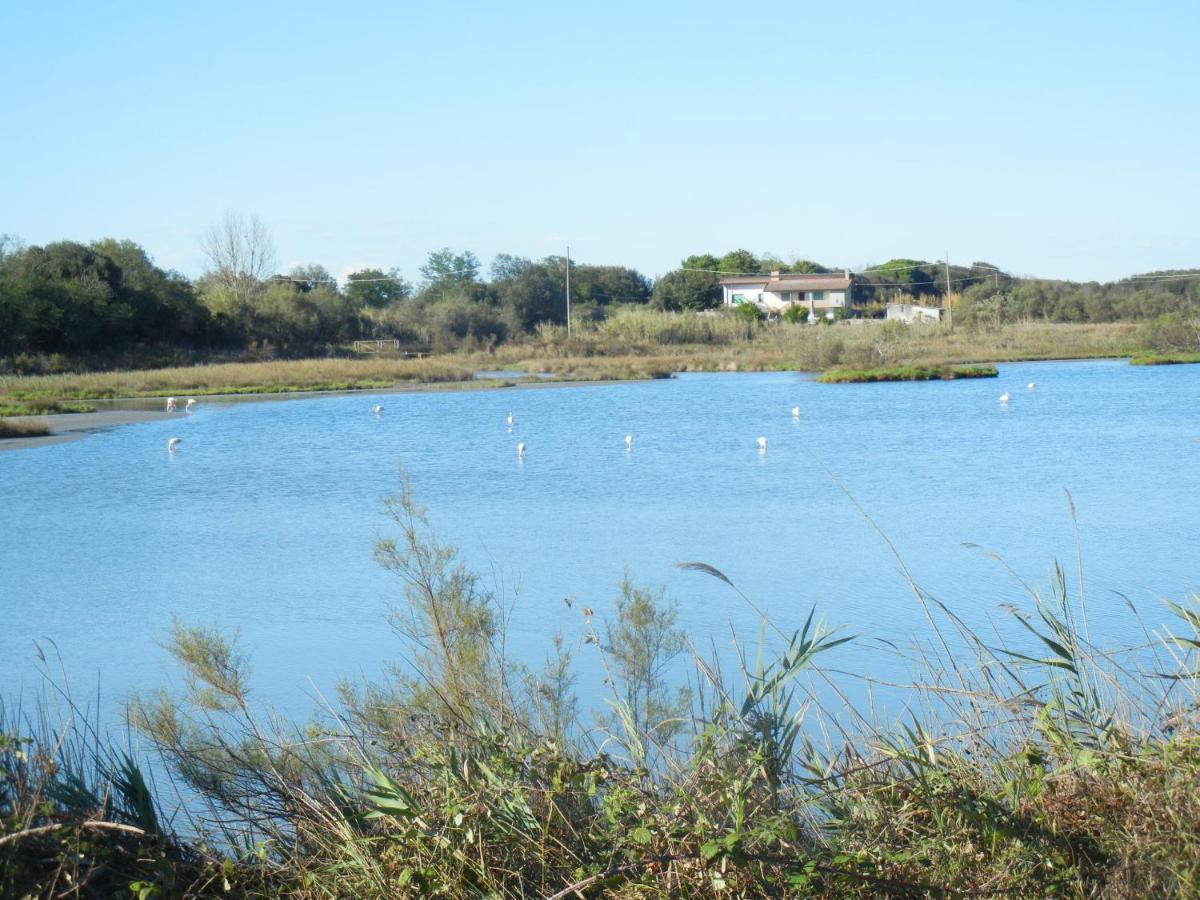 Casa Vacanze Mare Lido di Scacchi Esterno foto